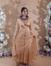 Sample Sale: Resham Champagne Mesh Satin Anarkali