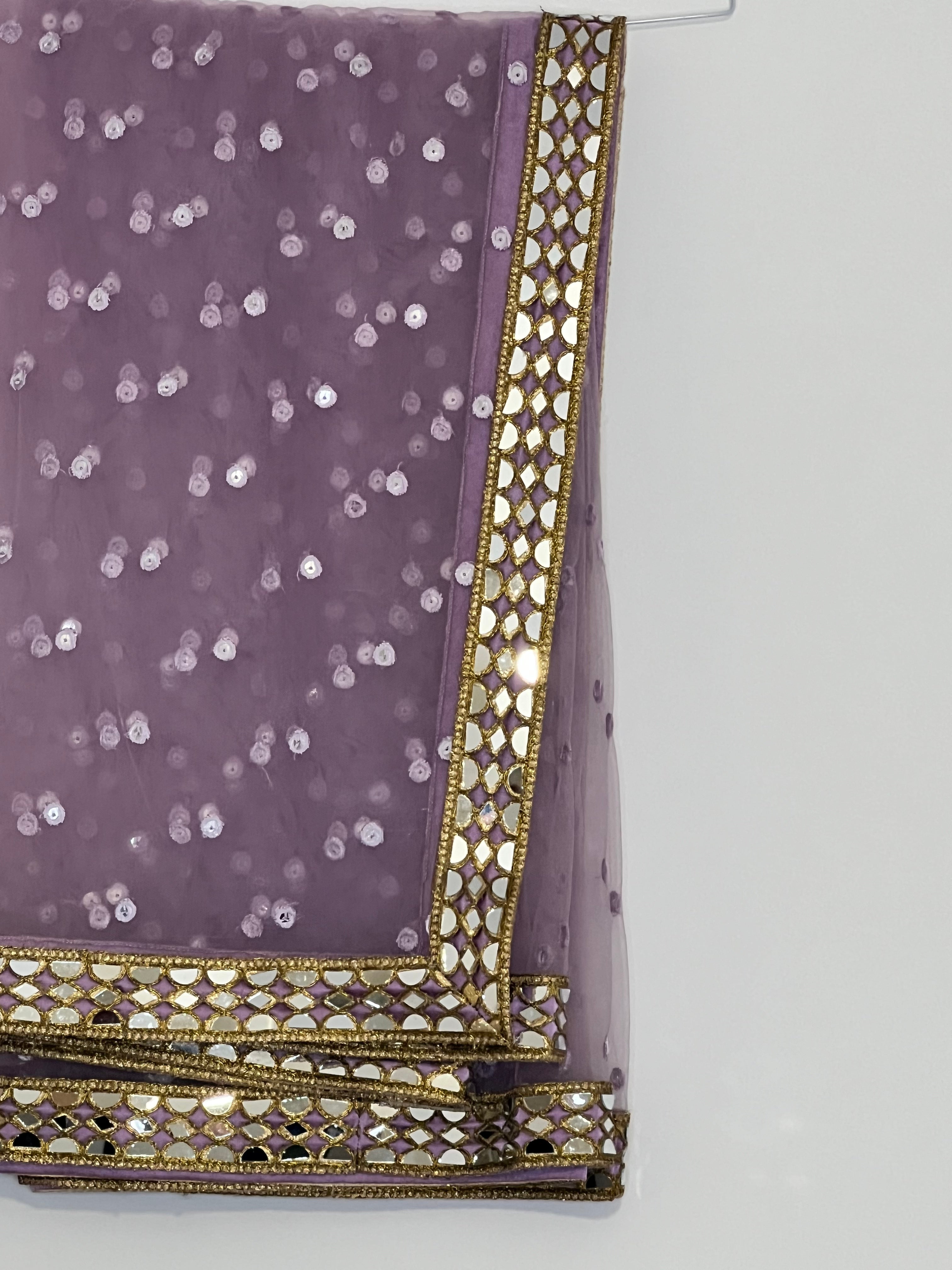 Sample Sale: Real Mirrorwork Boti Net Dupatta