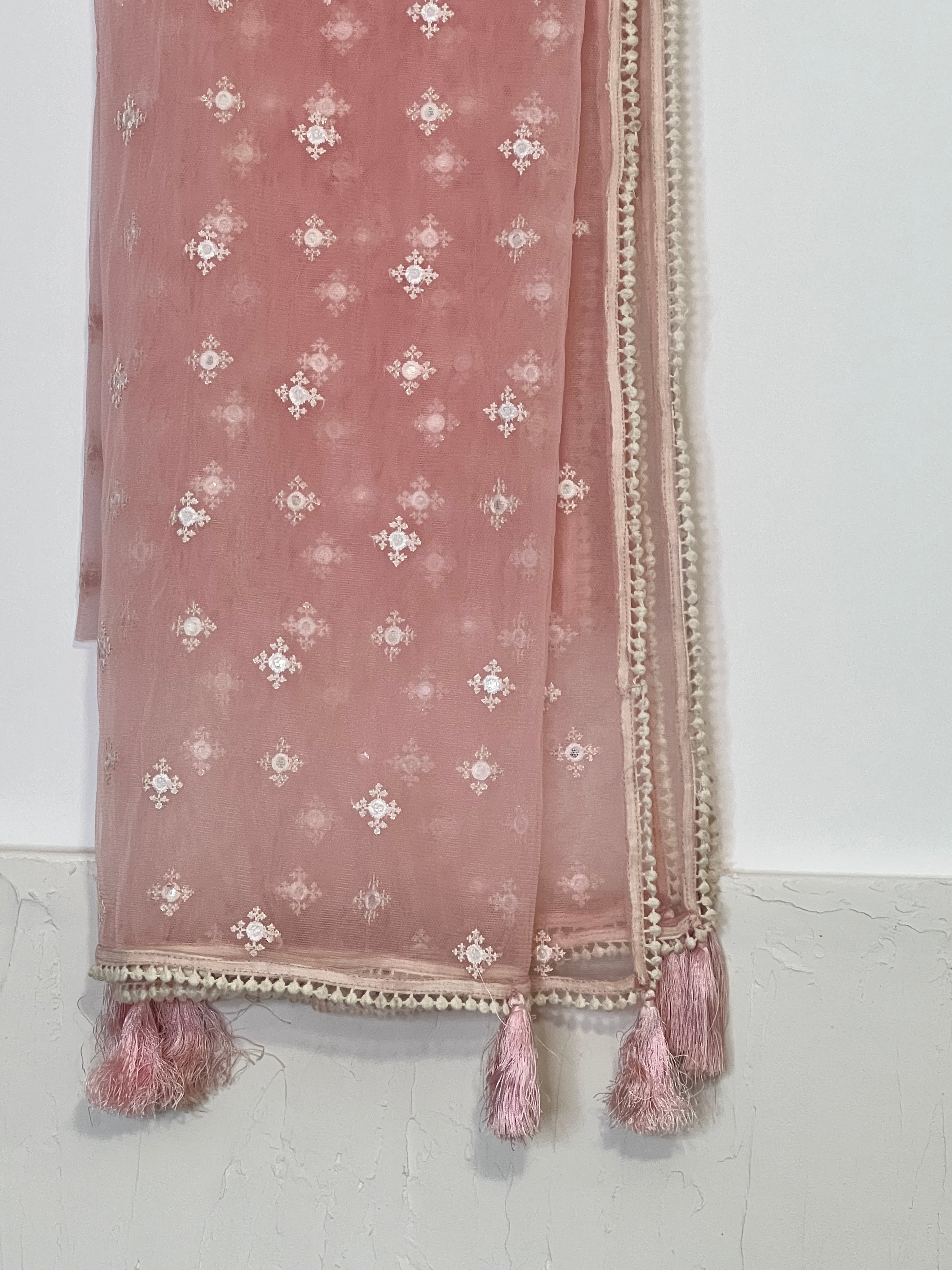 Sample Sale: Pastel Soft Net Dupatta